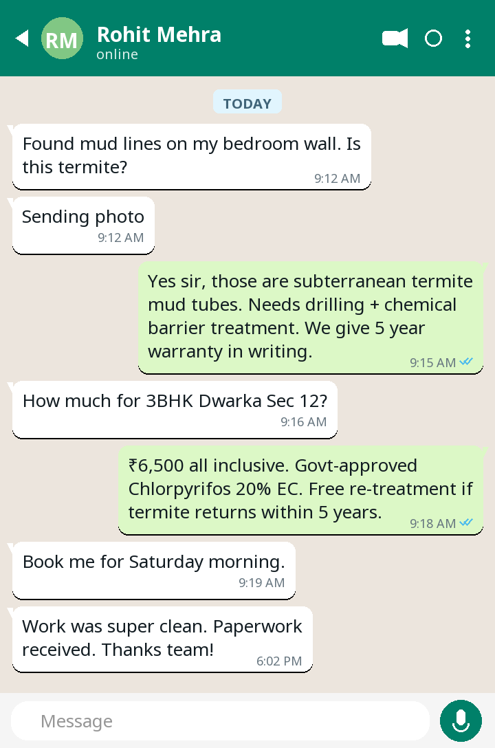 WhatsApp testimonial from Rohit Mehra — Termite Treatment in Dwarka Sec 12